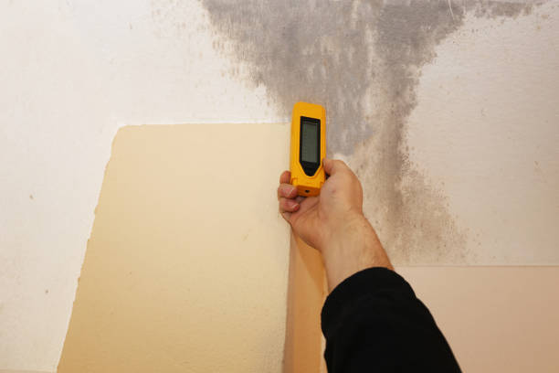 Best Residential Mold Inspection & Testing  in Twin Lake, MI