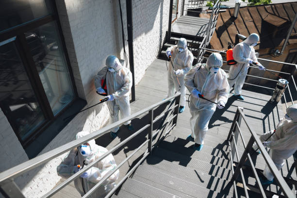 Best Commercial Mold Inspection  in Twin Lake, MI