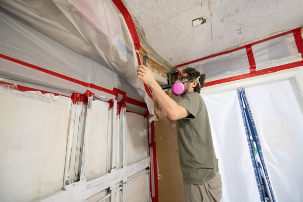 Best Emergency Mold Remediation  in Twin Lake, MI