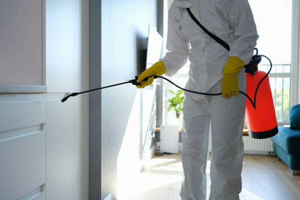 Best Airborne Mold Testing  in Twin Lake, MI